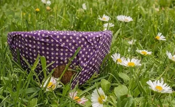 Българска иновация: восъчни кърпи