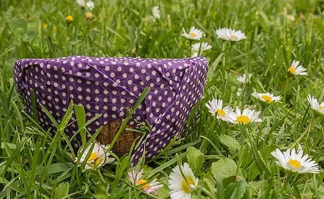 Българска иновация: восъчни кърпи