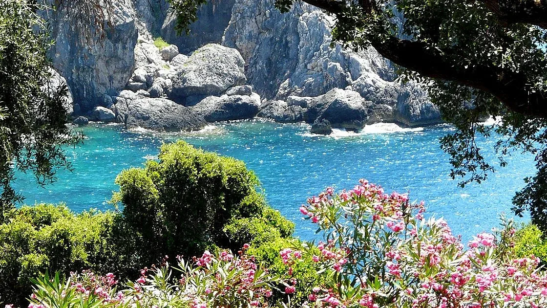 Гърците ни цакат с ранните резервации