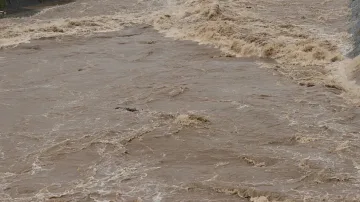 Проливни дъждове потопиха Тулун