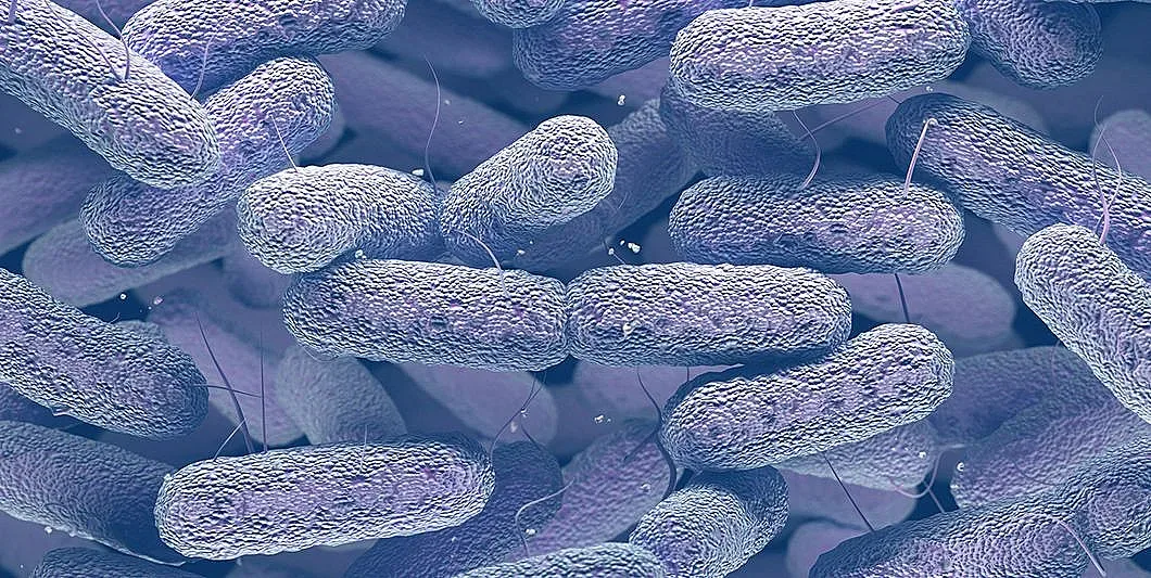 Супербактерии атакуват болници в Европа