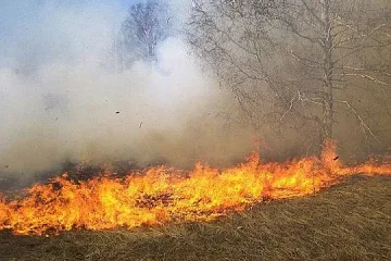 Не само чума, но и опасност от пожари в Русе и Плевен
