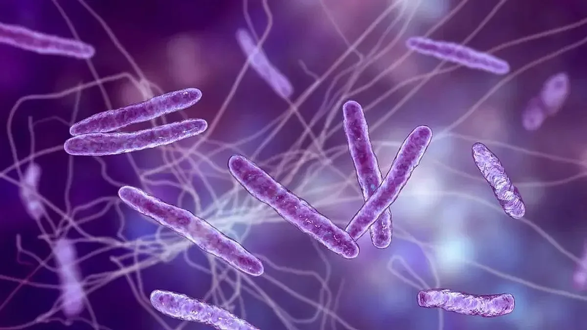 Падна още една голяма тайна за възникването на живота