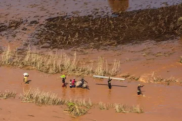 650 жертви на мусоните в Южна Азия