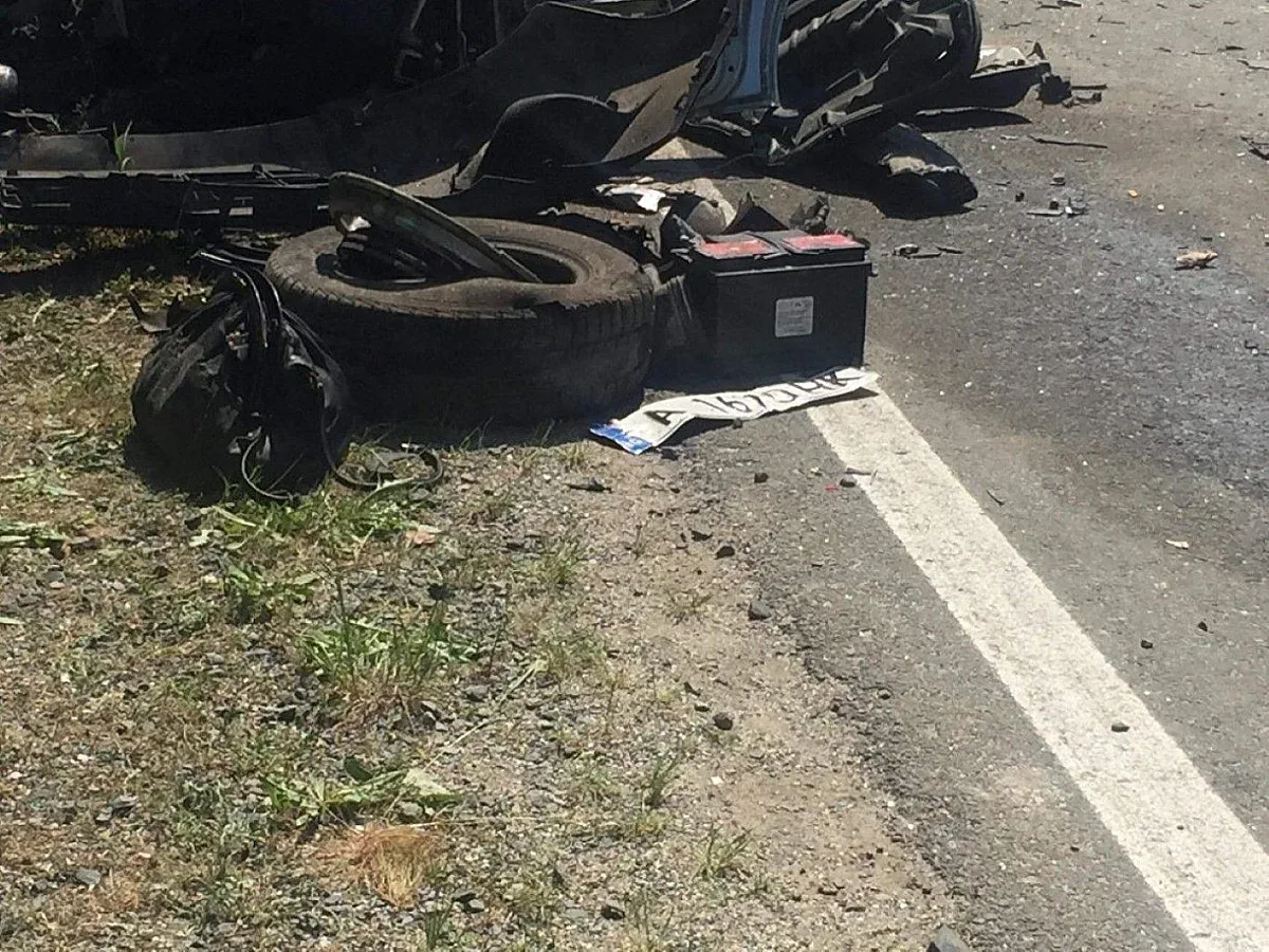 12 г. затвор за шофьор, помел трима в Лясковец