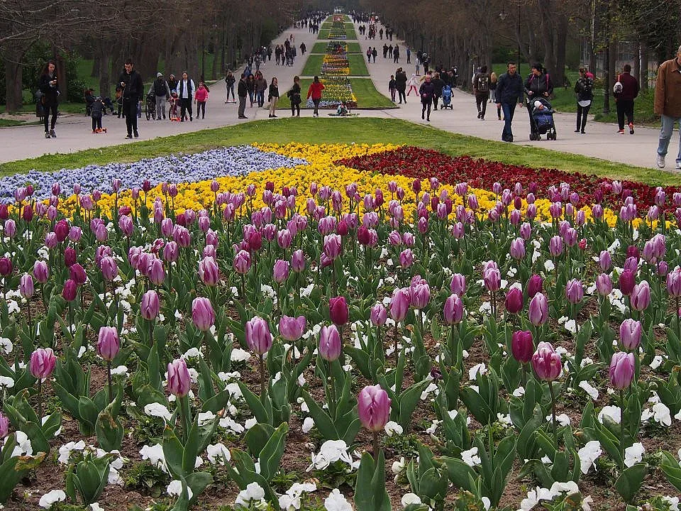 Релефна карта на Морската градина посреща гостите й