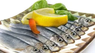 WWF: Рибата в Европа свършва до Нова година