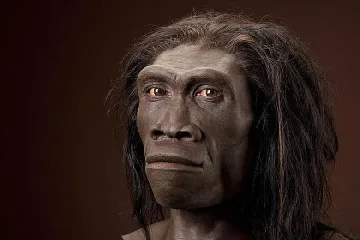 Откриха останки на най-древния човек – Хомо еректус