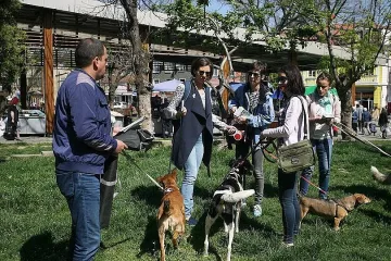Пак показват кучета за осиновяване в София