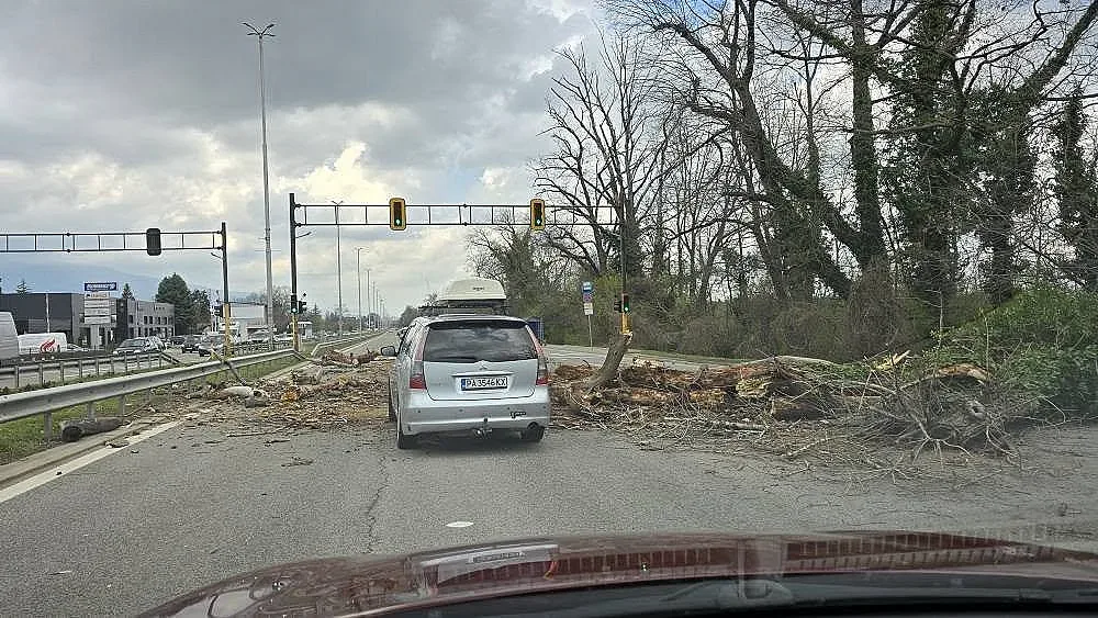 Драма на "Цариградско шосе". Капан за шофьорите