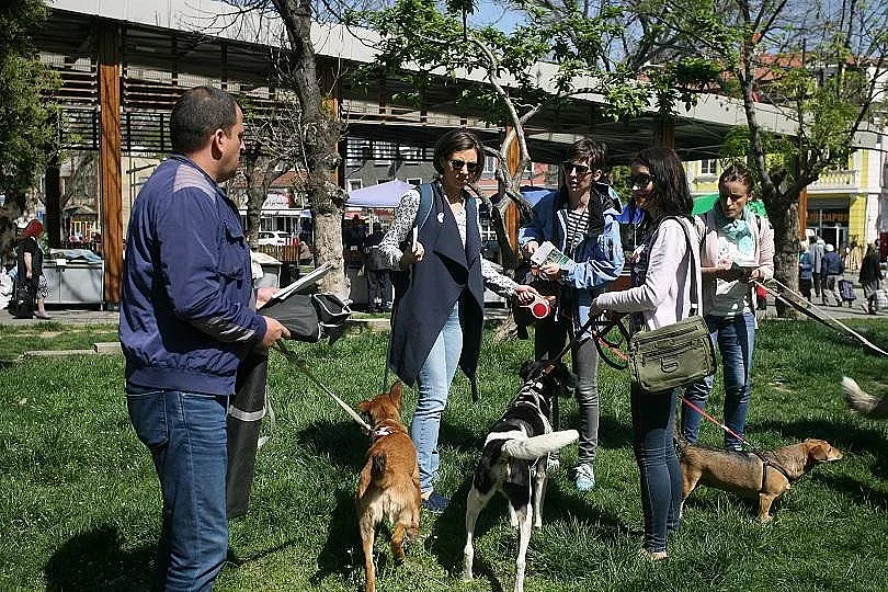 Обсъждат глобите за кучета без поводи и намордници