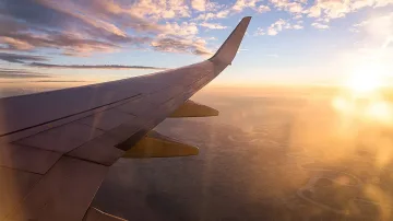 Свалиха британка от самолет за голямо деколте