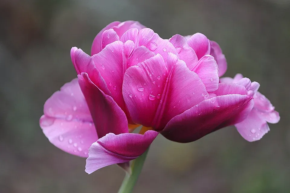Облачност и дъжд в Северна България