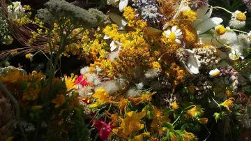 Еньовден – празникът на лечебните билки