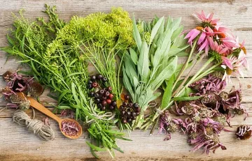 Еньовден – денят на лятното слънцестоене и на билкарите