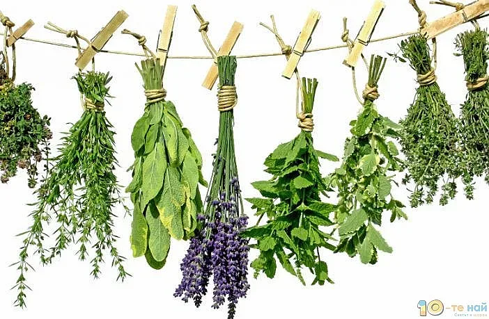 При инфекции: Първо антибиотик, после билки