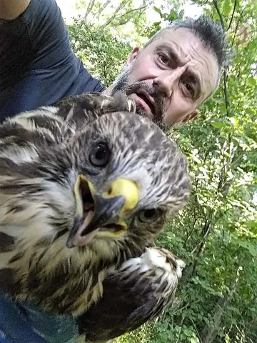 Калин Вельов спаси ястреб