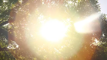 Очаква ни жега до 35 градуса