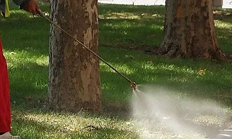 Повторно третират зелените площи