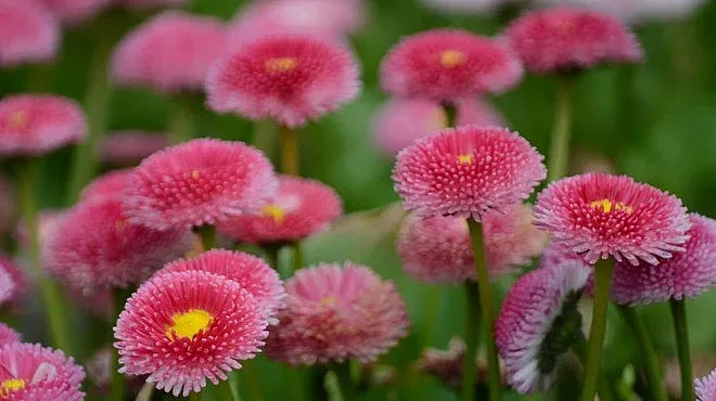 Слънце, дъжд и гръмотевици днес