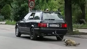 Пазарджиклия влачи куче с кола, задържаха го