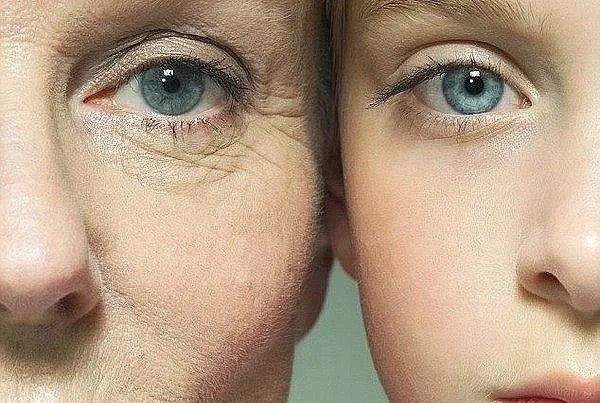 Разбра се защо стареем