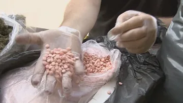 Един тон наркотици заловени в Япония