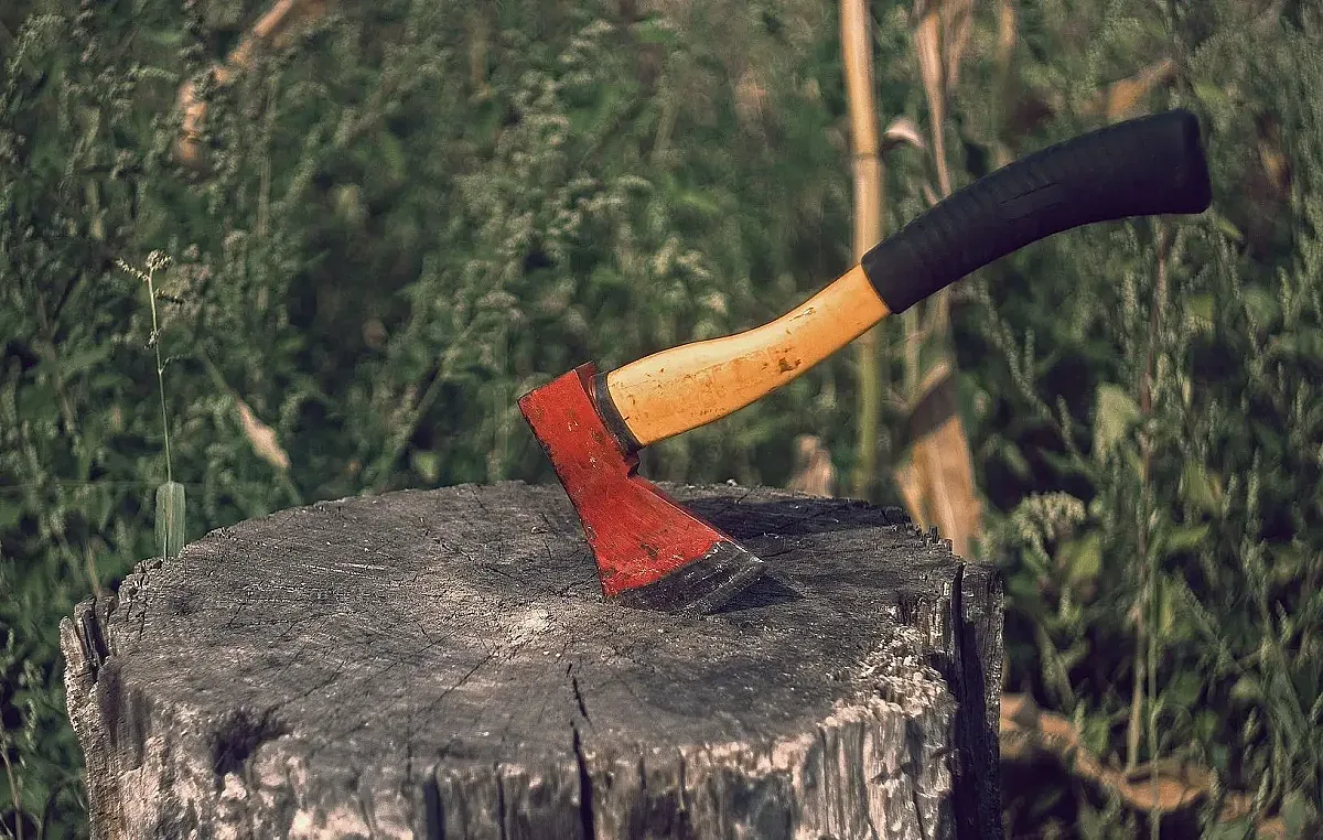 Брадва срещу ТикТок! Охранител в Бургас рани инфлуенсър