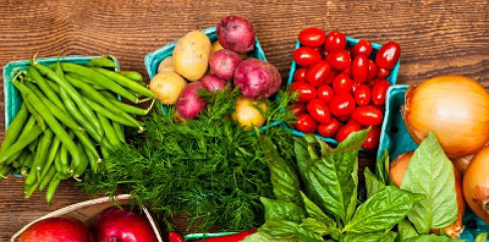 Звезди подкрепят веганството  в защита на животните