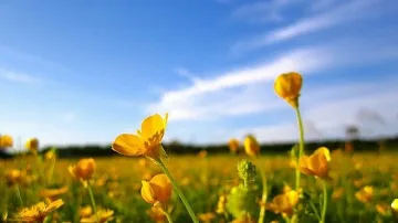 До обед слънце, после дъжд