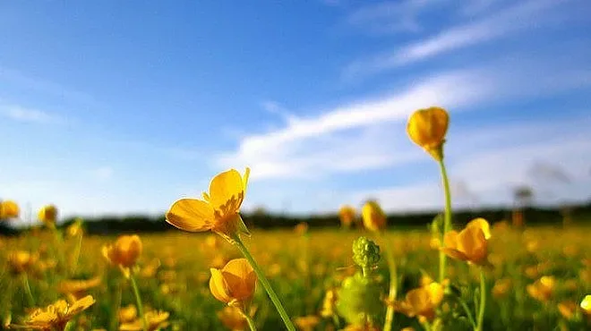 До обед слънце, после дъжд