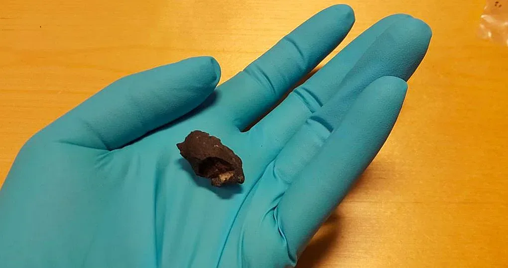 Дъвка на 10 000 години „изплю“ човешка ДНК