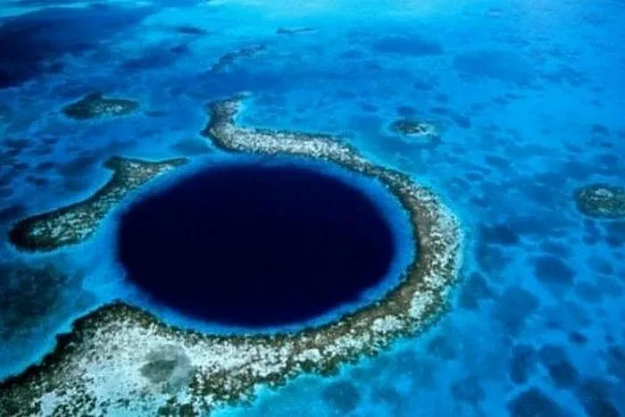 Розови охлюви открити в Марианската падина