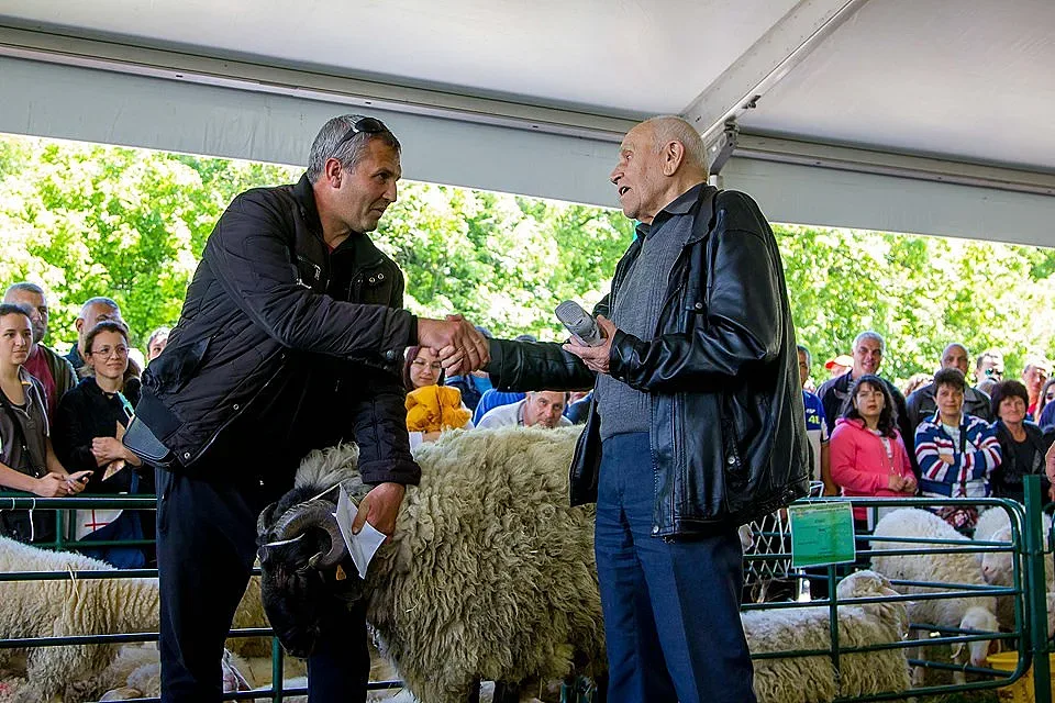 Кочът Джеки чупи кантара, печели 1000 лева