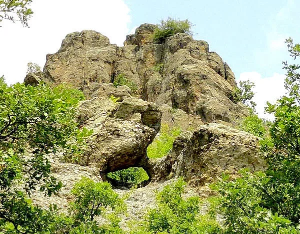 Вкаменената сватба цери безплодие