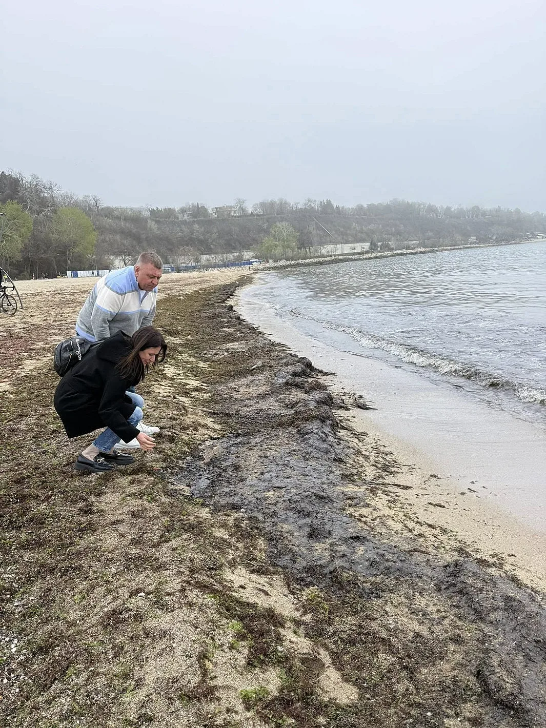 РИОСВ-Варна със светкавична реакция за мазута по брега