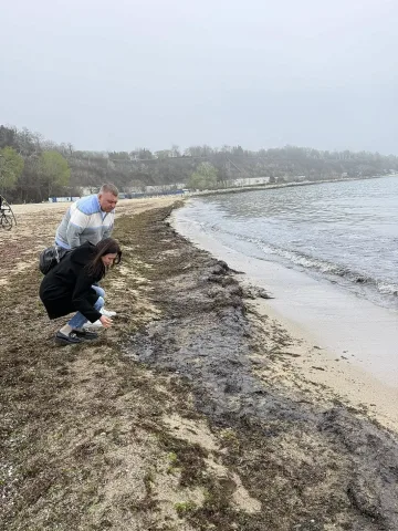 РИОСВ-Варна със светкавична реакция за мазута по брега