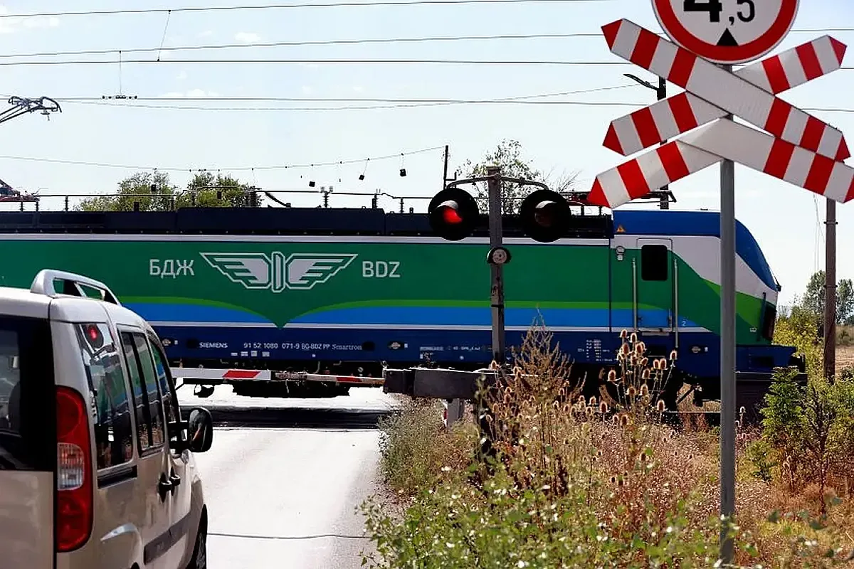 Паднали дървета усложниха положението с графика на БДЖ