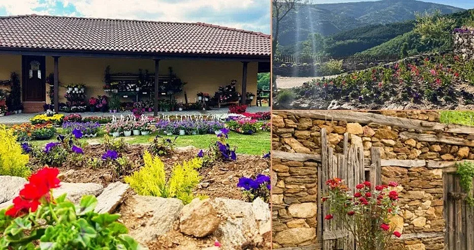 Вълшебно наше селце извади червен картон на туристите