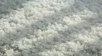 Градушка помете село Брестовене