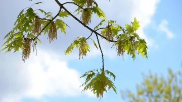 Днес слънце, от утре бури