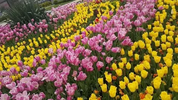 Очаква ни слънчев петък