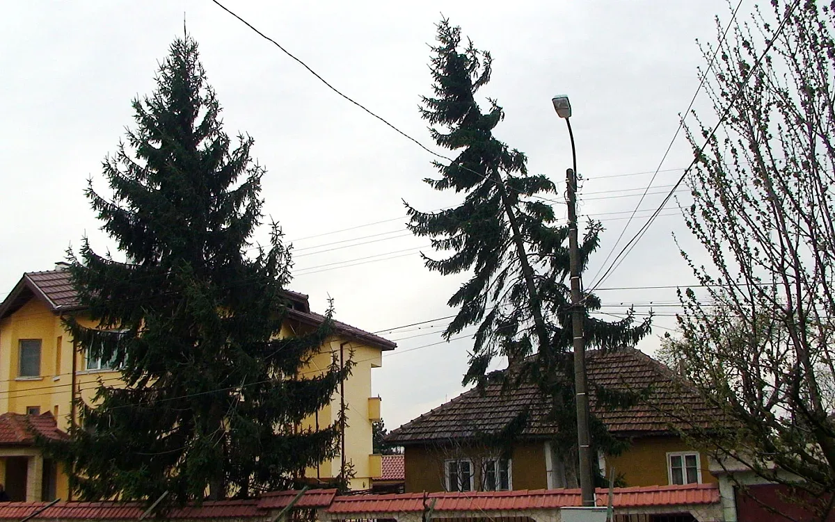 Неочаквана ваканция в селско школо заради бурята