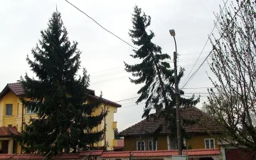 Неочаквана ваканция в селско школо заради бурята