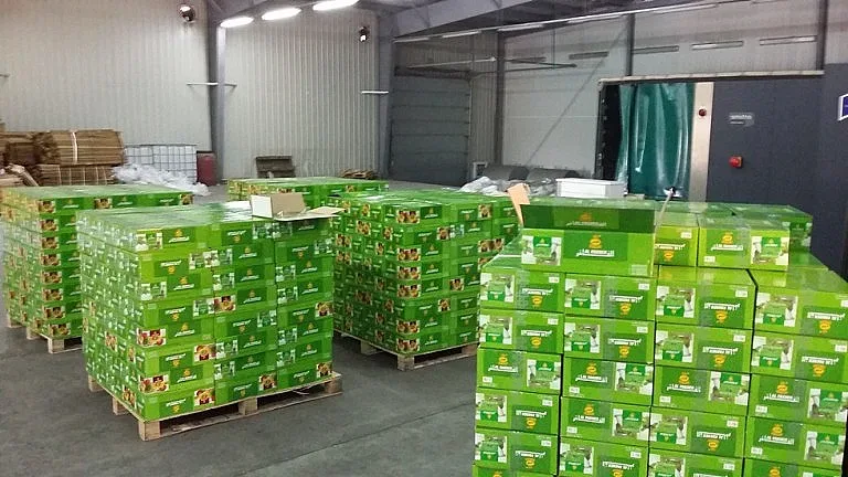 Наш контейнер с 20 т тютюн задържан в Хонконг