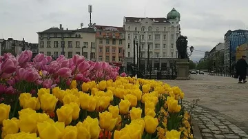 Чакат дъжд и мълнии следобед