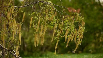 Дъжд и гръмотевици днес