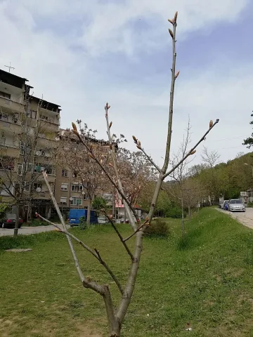 Десетки облагородени пространства в Благоевград