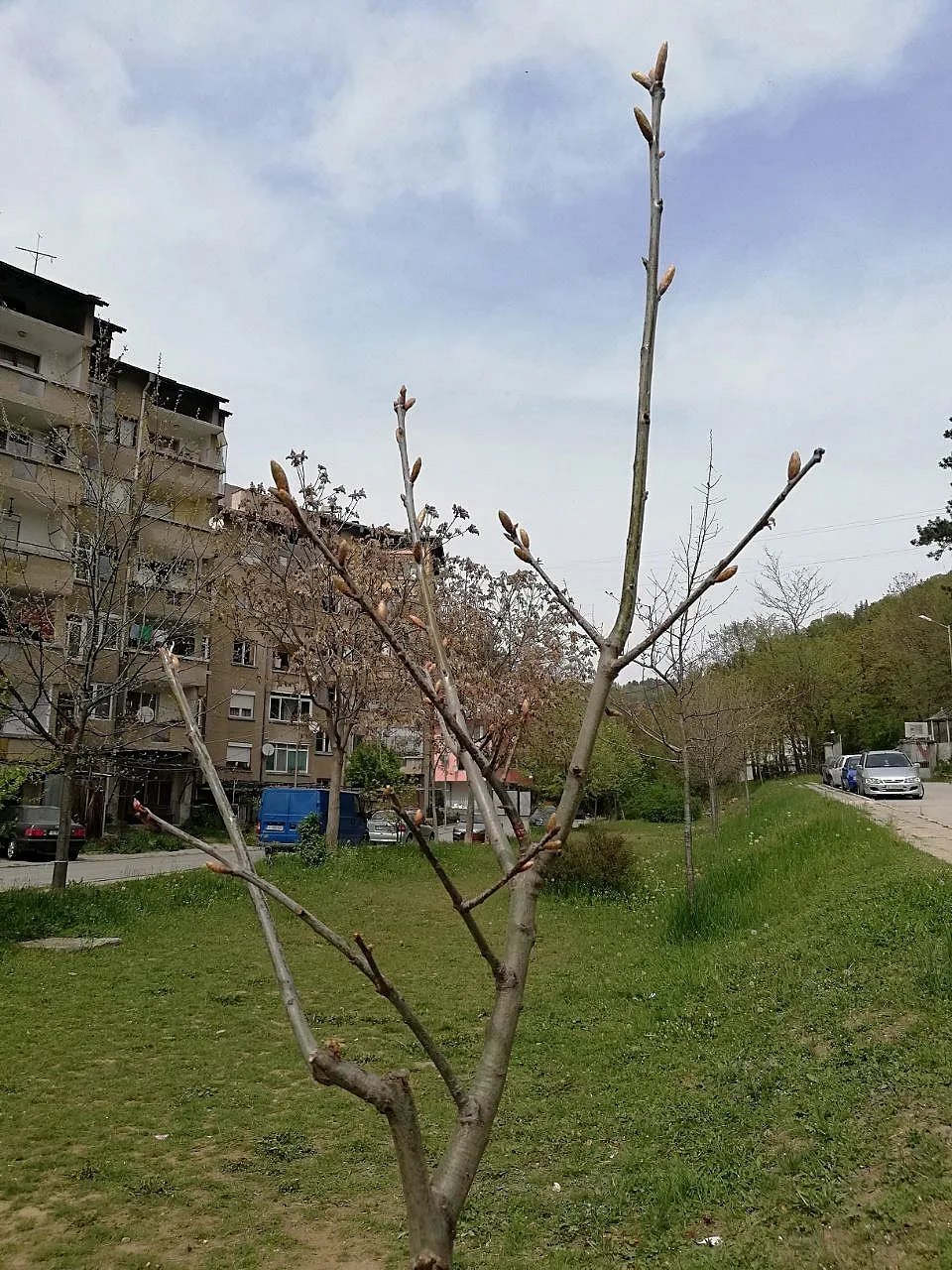 Десетки облагородени пространства в Благоевград