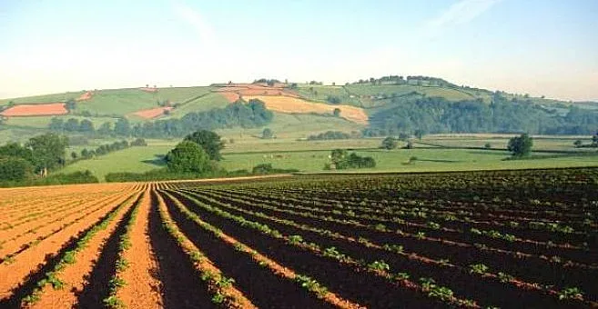 Разпределят 9 млрд. лева за фермерите до 2027 г.